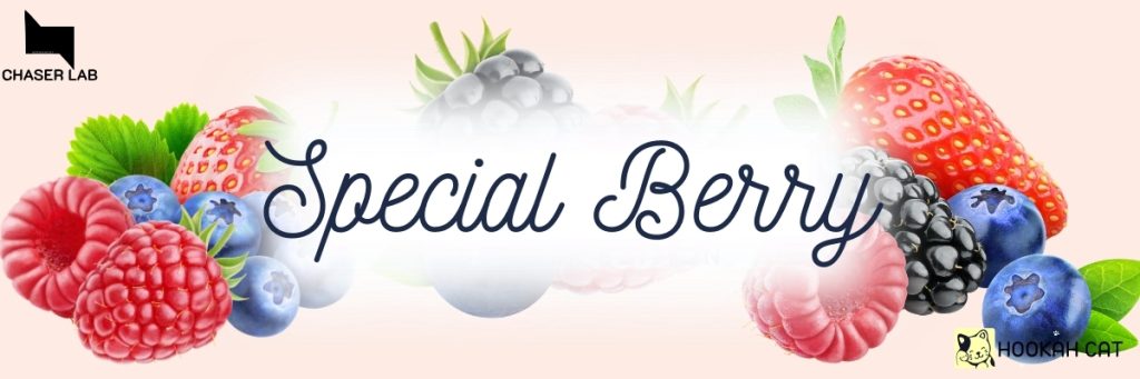 Нова лінійка рідин для електронних сигарет від ChaserLab – SPECIAL BERRY